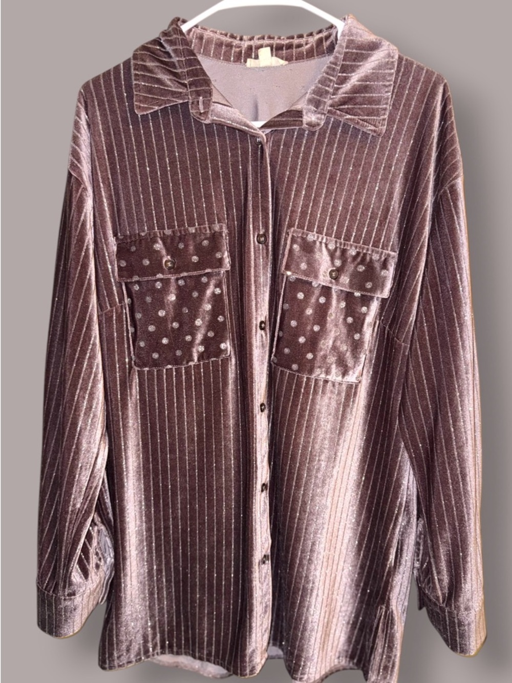 🌺Main Strip Velvet Brown/Silver Dots/Stripes Button Down Shirt